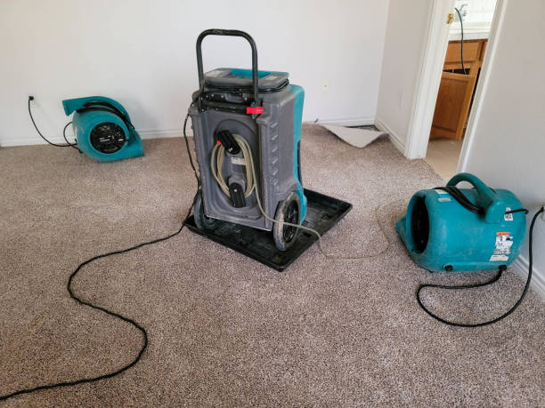 Best Flooded house restoration  in Salado, TX