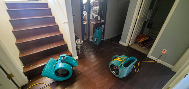 Best Water damage restoration near me  in Salado, TX