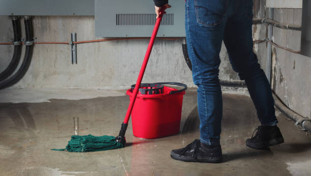Best Flood restoration services  in Salado, TX