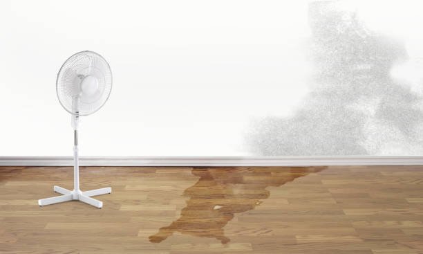 Best Flood restoration services  in Salado, TX