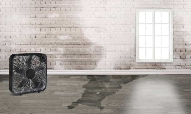 Best Water damage restoration near me  in Salado, TX