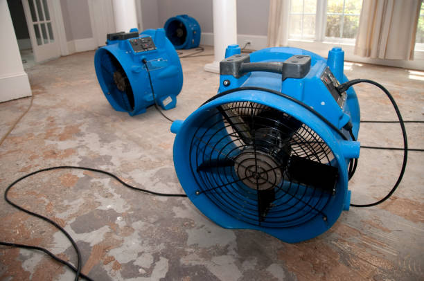  Salado, TX Water damage restoration Pros