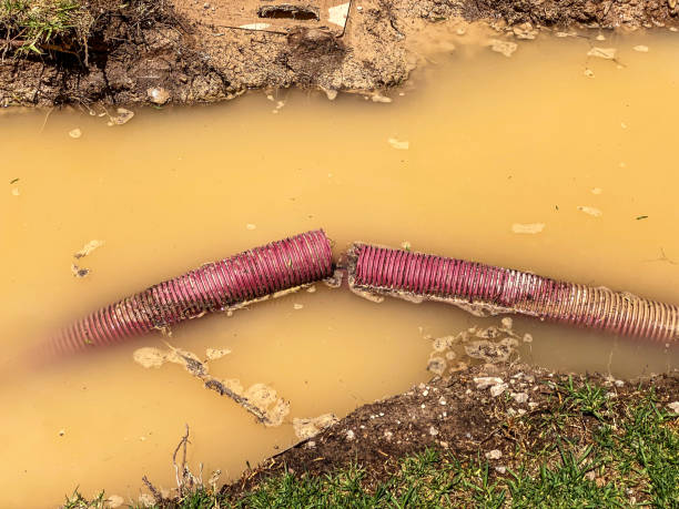 Best Water damage restoration process  in Salado, TX